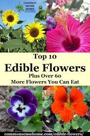Check spelling or type a new query. Edible Flowers List With Flower Names And Pictures
