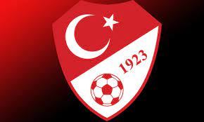 The team is controlled by the turkish football federation. Fenerbahce Has The Second Oldest Squad In Europe