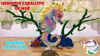 ¡Este increíble caballito de mar es tan hermoso que te sorprenderá!