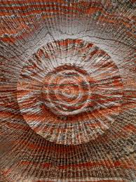Uralkali announces ifrs fy 2020 financial results. Edward Burtynsky Uralkali Potash Mine 9 Berezniki Russia 2017 Flowers Gallery