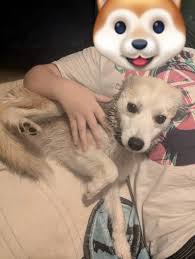 Found near Rainsville County Road 72.