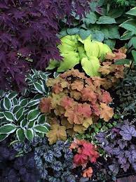 Landscape Gardening Perth Shade Garden Design Shade Garden Plants Shade Plants