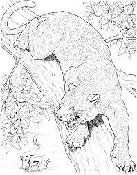 Printable Big Cat Jaguar Coloring Pages Cat Coloring Page Animal Coloring Pages Animal Drawings