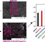 Multi walled carbon nanotubes functionalized by hydroxyl and ...