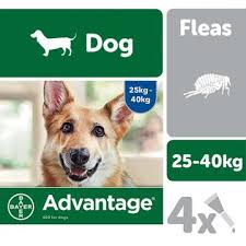 Advantage 400 Spot On Flea Control Extra Large Dog Viovet Co Uk