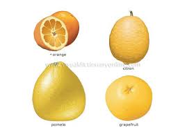 More Citrus Fruits Somewhat Acidic Fruits With A High Vitamin C Content Comprising Numerous Sections And Covered With A Rind That Ha Citrus Fruit Fruit Citrus