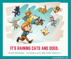 Read More Sentence Examples Of The Idiom Rain Cats And Dogs At Oysterenglish Com In 2020 Raining Cats And Dogs Cat Idioms Dog Cat