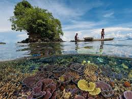 Pin On Papua New Guinea Adventure Activities
