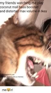 Friends Watching Me Play Mall Bass Boosted Distorted Max Volume In Ikea My Coconut And Blzngprtn S Cat P Turn Him Into A Meme Friends Meme On Me Me