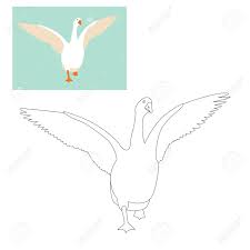 Free printable goose coloring pages. Goose Vector Illustration Flat Style Coloring Page Outline Royalty Free Cliparts Vectors And Stock Illustration Image 98010860