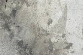 How To Remove Cat Urine From Concrete Cat Urine Remover Cat Urine Smells Cleaning Pet Urine
