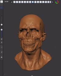 Ipad Pro Skull Sculpt In Forger App Ipad Pro Sculpting Sketches