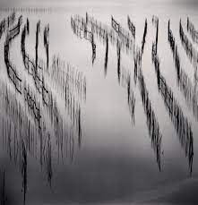 Michael Kenna Ethereal Photography Black And White Landscape Photography
