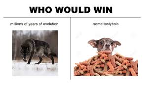 Wolf It Own Dankmemes