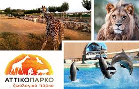 Σύμφωνα με τους κανόνες σένγκεν, σε εξαιρετικές περιστάσεις, όταν έχει εντοπιστεί απειλή για τη δημόσια πολιτική ή την εθνική ασφάλεια, τα κράτη μέλη επιτρέπεται να επανεισαγάγουν προσωρινούς συνοριακούς ελέγχους. Attiko Zwologiko Parko To Lockdown Apeilei Ta Zwa Sta Spata