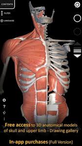 Share your 3d views with other atlas 2021.1 users. Muscle Skeleton 3d Anatomy Apk Latest Version Free Download For Android