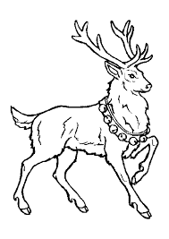 Rudolph, avec ton nez si brillant, tu voudrais bien guider mon traîneau ce soir ? rudolph fut placé à la tête du traîneau. Coloriage Noel Renne Sur Hugolescargot Com