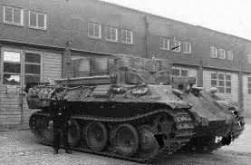 Image result for bergepanther