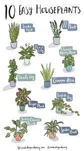 10 Easy Houseplants For Any Home Plants Easy House Plants Inside Plants
