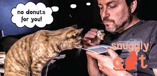 Sprinkle cinnamon sugar over a pie crust or cobbler before baking, or sprinkle it over a whipped cream garnish, your morning cereal, or add a dash to plain greek. Donuts Covered In Cinnamon Sugar Balls The Ripple Rug