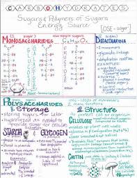 Carbs Jpg 421 546 Pixels Teaching Biology Biochemistry Notes Ap Biology