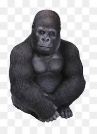 Explore and download free hd png images, and transparent images Baby Elephant Sitting Png Baby Elephant Sitting Down Cute Baby Elephant Sitting Happy Baby Elephant Sitting Plush Baby Elephant Sitting Baby Elephant Sitting Drawing Baby Elephant Sitting Coloring Page Clay Baby