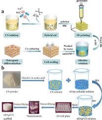 Facebook gives people the power to share and makes the. Fabrication And Applications Of Bioactive Chitosan Based Organic Inorganic Hybrid Materials A Review Sciencedirect