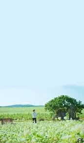Find the best goblin wallpaper on getwallpapers. 400 Goblin Wallpaper Ideas Goblin Gong Yoo Goblin Kdrama