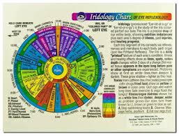 Iridology Chart Of Eye Reflexology Rainbow Coded By Inner Light Resources