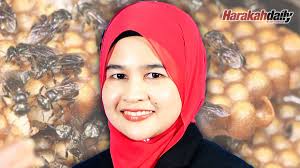 Perbezaan madu kelulut dan madu lebah. Penyingkiran Air Daripada Madu Kelulut Fakulti Kejuruteraan