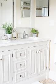 Painting bathroom vanities before and after you are recommended to reinstall the door hinges and fasten the door loosely on the cabinet frames. Good Bye Gold Vanity Finding Silver Pennies