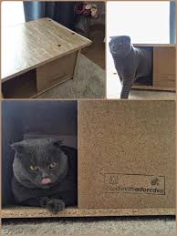 Adore mobilya üretim sürecinde hasarlı ve atıl malzemeleri biriktirip kullanarak binlerce kedi evi üretiyor. Kedi Evleri Icin 26 Fikir Kedi Evi Kedi Mobilya