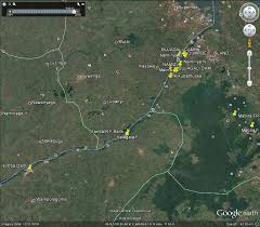 Image result for Tricalysia bagshawei