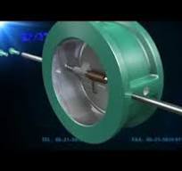Double-disc Check Valve