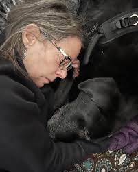 House of Dog Boarding