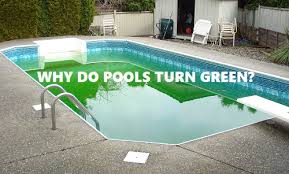 We did not find results for: Do You Have A Green Pool Ohana Pool Maui Pool Service Maui Pool Maintenance Maui Pool Cleaners