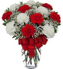 Red And White Carnations Jpg 1200 1309 White Carnation Bouquet Flower Delivery Carnations