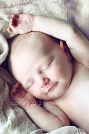 robin mcalister photography