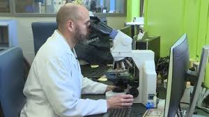 Please call your local health department first before seeking services on feb. New Online Tool Helps Determine Need For Covid 19 Testing Airdrietoday Com