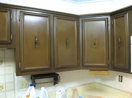 When selecting which kitchen cabinets to buy, consider the most popular materials: 5 Questions You Must Ask Before Starting A Kitchen Makeover