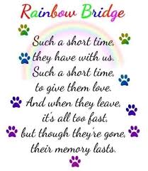 Aug 27, 2018 · and your pet doesn't judge you, doesn't ask you to explain. Pin By Sandi On Dog Poems Grieving Quotes Pet Loss Grief Meaningful Poems