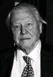 My favorite oak resting spot