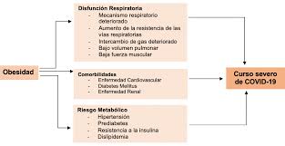 Otro potencial positivo es que esta crisis de salud pública podría ser un punto de. La Obesidad Es Un Factor De Riesgo Para Muerte Por Covid 19