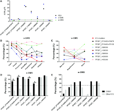 We did not find results for: Association Of The Endnarep Genotype With K13 Mutations In Sea A Download Scientific Diagram