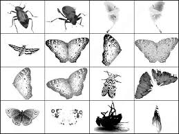 I need a brush that has a basic shape, like a leaf: Butterfly Free Photoshop Brush Download Free Vectors Graphic Design