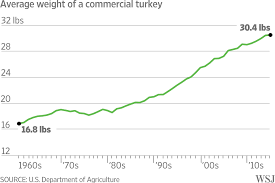 It depends on the method, but thawing a turkey typically takes anywhere from several hours to a few days. Talking Turkey Why Your Thanksgiving Dinner Weighs More Wsj