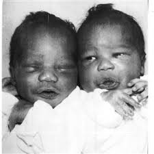 The perplexing story of missing twin children that still lacks an ending