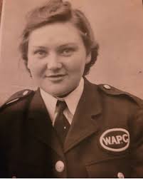 Day 299. A heavily edited pretty leaf taken