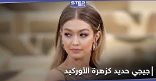 فريزرات شقم، هيفاء البشير، صيته الحنيطي الحديد، توفيق النمري، سلوى العاص، محمد عواد العبادي Ø¬ÙŠØ¬ÙŠ Ø­Ø¯ÙŠØ¯ ÙˆÙƒØ§Ù„Ø© Ø³ØªÙŠØ¨ Ø§Ù„Ø¥Ø®Ø¨Ø§Ø±ÙŠØ©