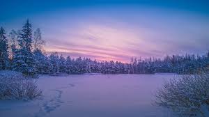 'a county down winter scene' by jonny andrews. Cold And Snowy Winter Scene At Sunset Helsinki Finland Windows 10 Spotlight Images